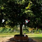 Spaziergang - Baum mit Friedenstauben