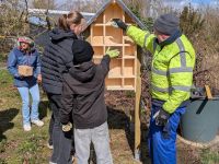 Wildbienen-Nisthilfe Bauaktion des großen Modells 03