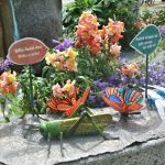Rundgang Juni 2026: Insektendemo
