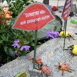 Rundgang Juni 2026: Insektendemo