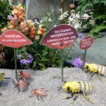 Rundgang Juni 2026: Insektendemo