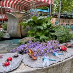 Rundgang Juni 2026: Insektendemo