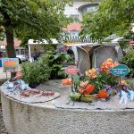 Rundgang Juni 2026: Insektendemo