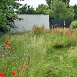 Rundgang Juni 2026: Besuch der Natur-Oase
